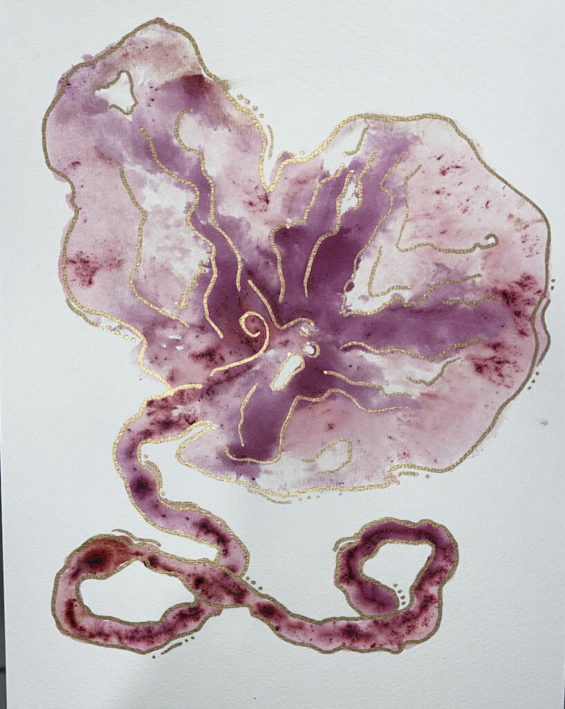 An artistic watercolor representation of a placenta and umbilical cord